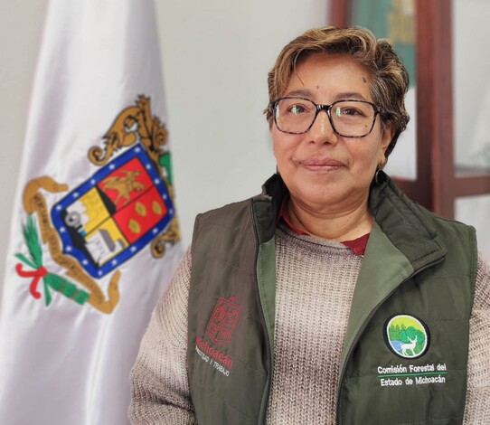 Aún estás a tiempo de reciclar tu arbolito de navidad