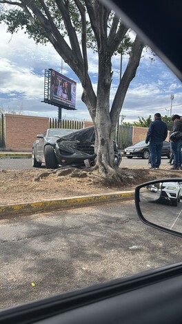 Auto choca contra árbol en la Av. Francisco J. Múgica de Morelia