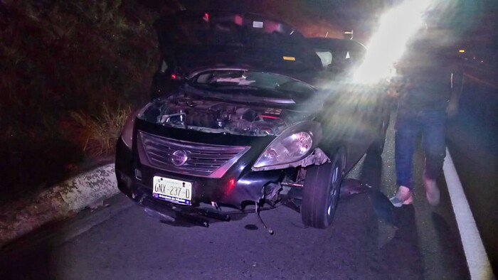 Auto choca contra semoviente en la autopista Siglo XXI