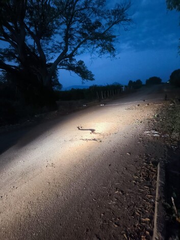 Autoridades desactivan minas abandonadas por criminales en carretera de Loma de Los Hoyos