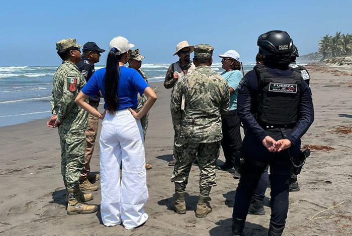Autoridades mantienen vigilancia y protección de las tortugas en la Costa de Lázaro Cárdenas