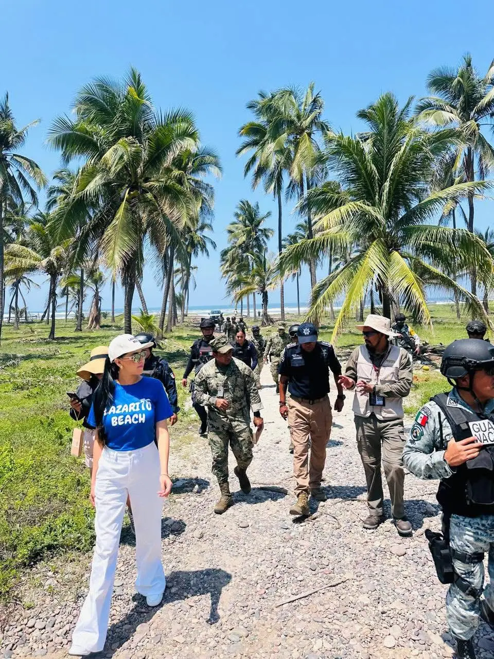 Autoridades Mantienen Vigilancia y Protección de las Tortugas en la Costa de Lazaro Cárdenas
