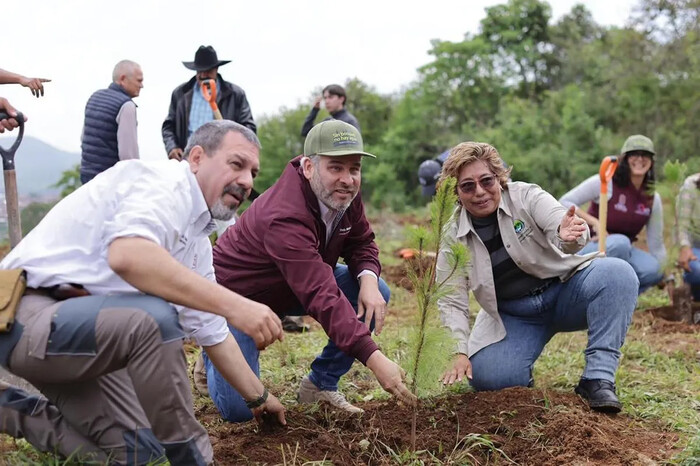 Avances en recuperación del lago de Pátzcuaro; se plantaron 1.8 millones de árboles: Bedolla