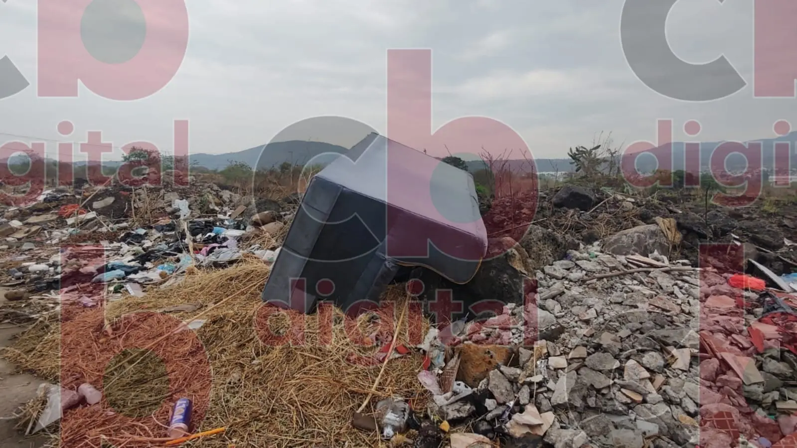 Baldíos llenos de basura en Villas del Pedregal, generan preocupación