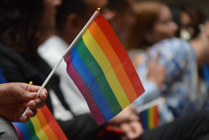 Bandera LGBT en sitios públicos, sello de la lucha pacífica del movimiento