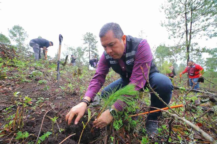 Barragán arranca Échale una Mano al Planeta con reforestación en San Juan Nuevo