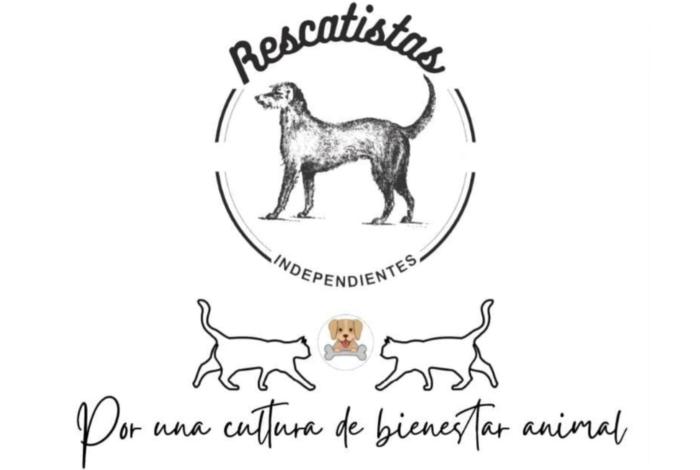 🐕‍🦺🐕¡Basta de veneno! Envenenan perros dentro de sus hogares en La Maestranza🐕🐕‍🦺