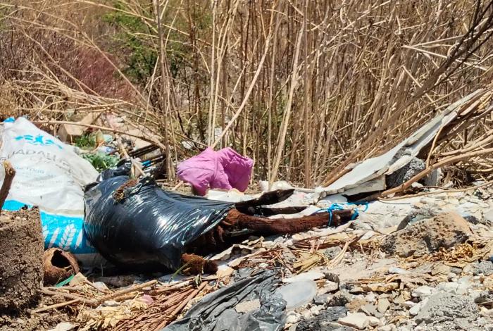 Basurero a cielo abierto crece a dos cuadras del Periférico, en la colonia El Lago 1