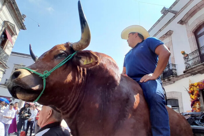 Batean diputados a taurinos y galleros, son atendidos por funcionarios