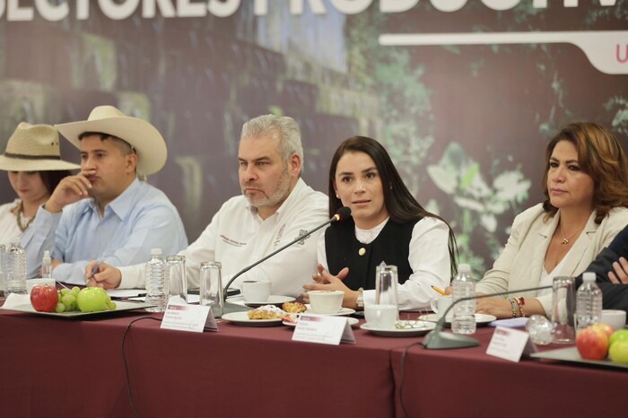 Bedolla anuncia refuerzo de las estrategias de seguridad para Uruapan