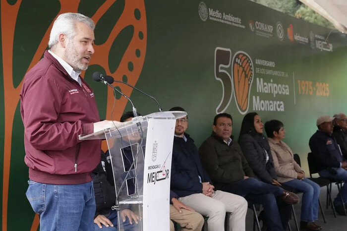 Bedolla celebra aumento de 99% de ocupación de la Monarca en bosques de Michoacán y México