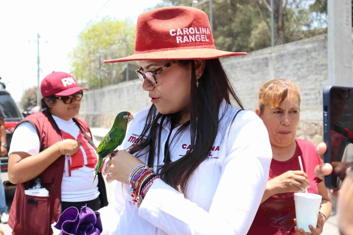 Bienestar animal, necesario para construir una sociedad mejor: Carolina Rangel