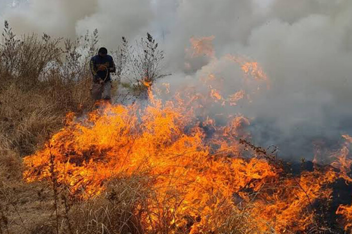 Bomberos sofocan incendio de pastizal cerca del Hospital Regional de Apatzingán