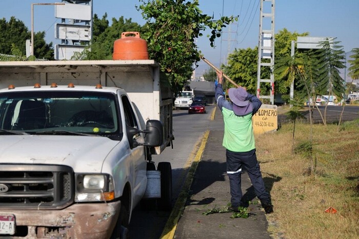 Brigadas de Morelia intervienen camellones del Libramiento Sur