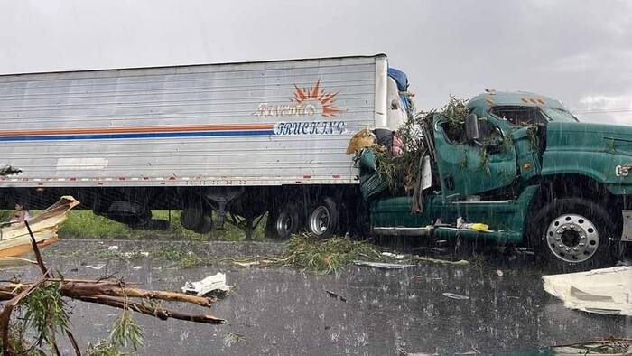 Cae árbol sobre tráiler y provoca aparatoso accidente