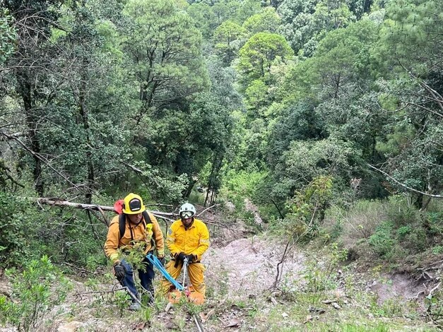 Seguridad