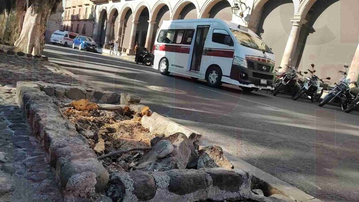 Caída de árbol en Plaza de Armas, fue por causa natural; Gerencia del Centro Histórico