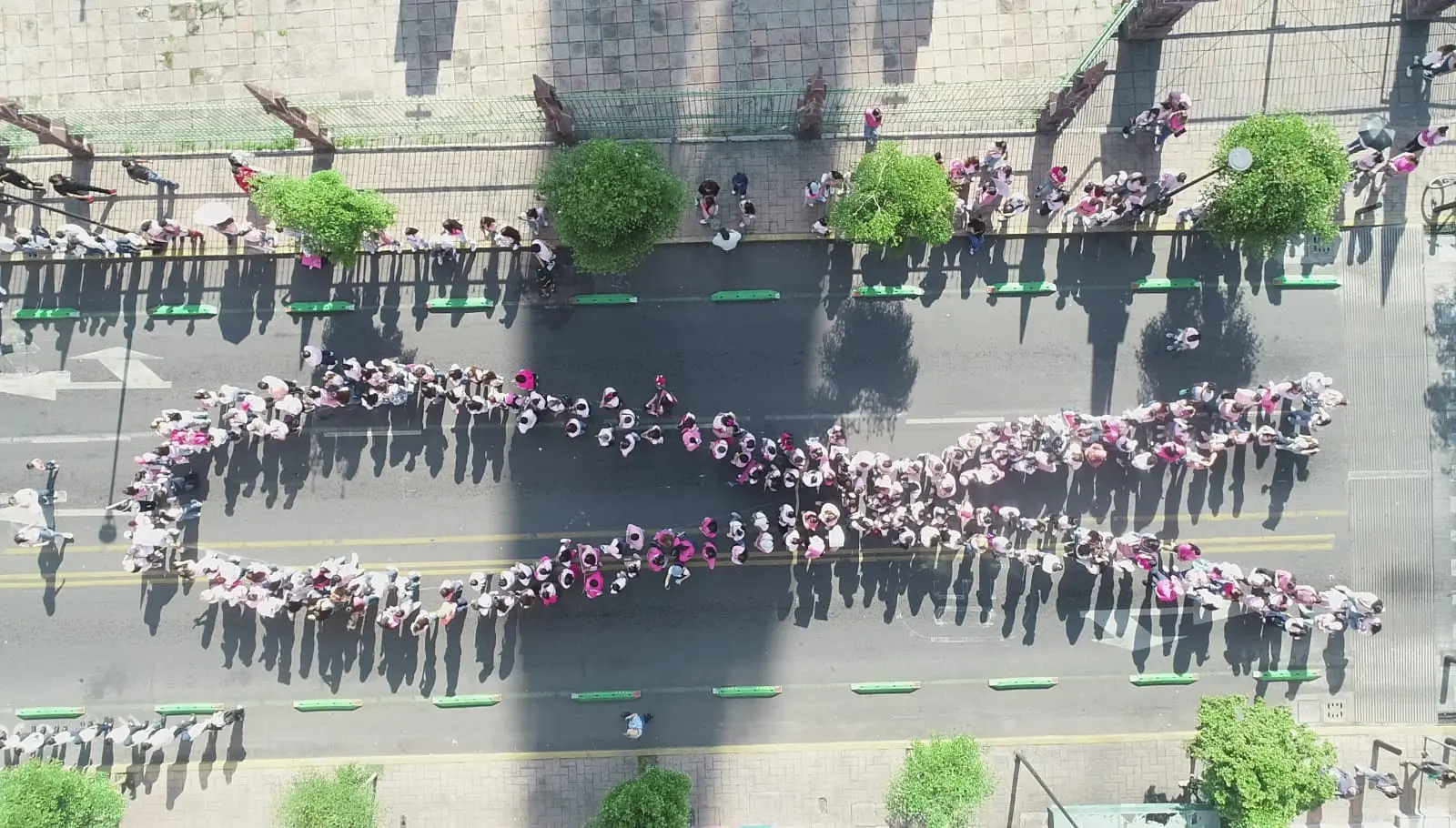 Carlos Soto impulsa el Moño Humano y la Caminata Rosa en Zamora