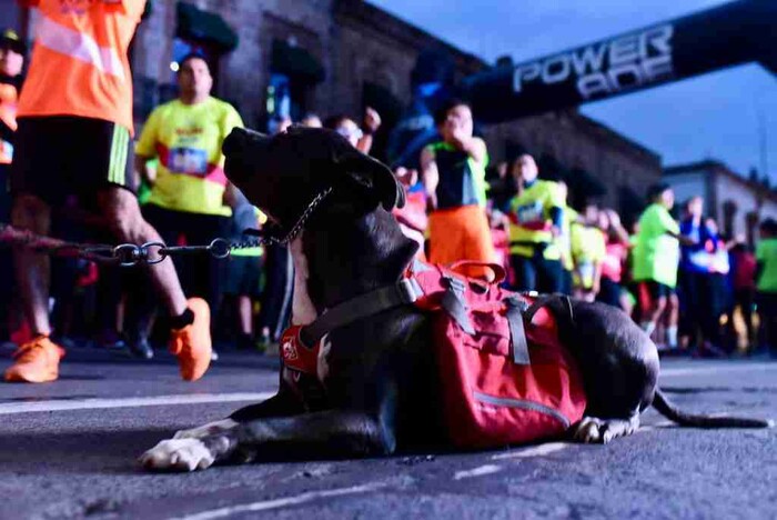 Carrera “Run Neón Morelia” reúne a 1200 participantes