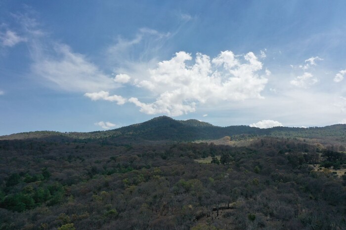 Cerro del Águila cumple un año como Área Natural Protegida