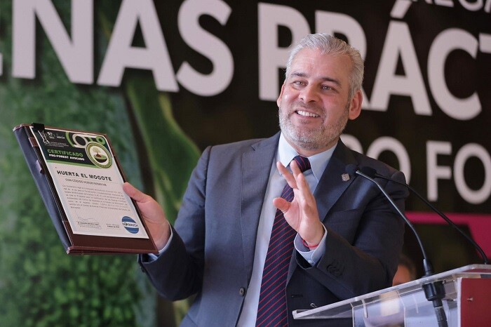 Certificación contra la deforestación ProForest Avocado es voluntaria, recuerda Bedolla