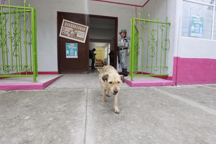 ‘Chilaquil’ pide cobijo a la Guardia Nacional y la aceptan en sus filas