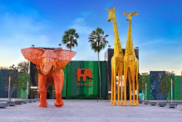 Cierran Zoológico La Pastora por Maltrato a Osa Mina