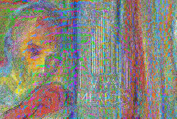 Cine mexicano llega a París de la mano de la 13 edición del festival Viva México, Rencontres Cinématographiques