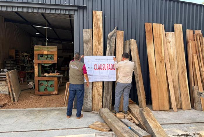 Clausura FGE bodega clandestina de madera en Morelia y asegura 57 metros cúbicos de parota, cedro y melina