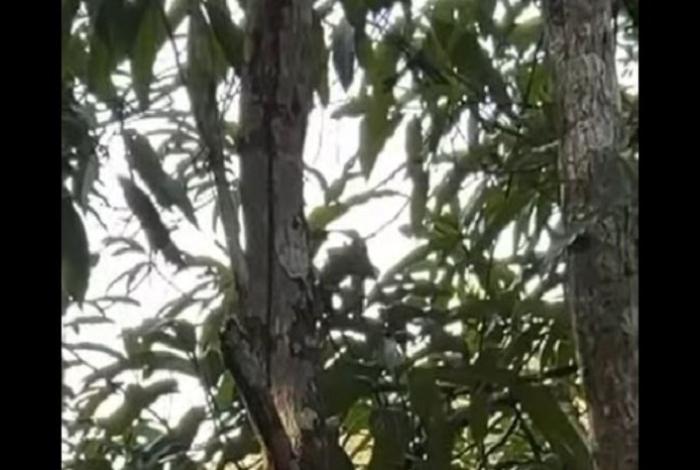 Coahuayula en alerta por ataques con drones y armas de grueso calibre en distintos puntos de la comunidad