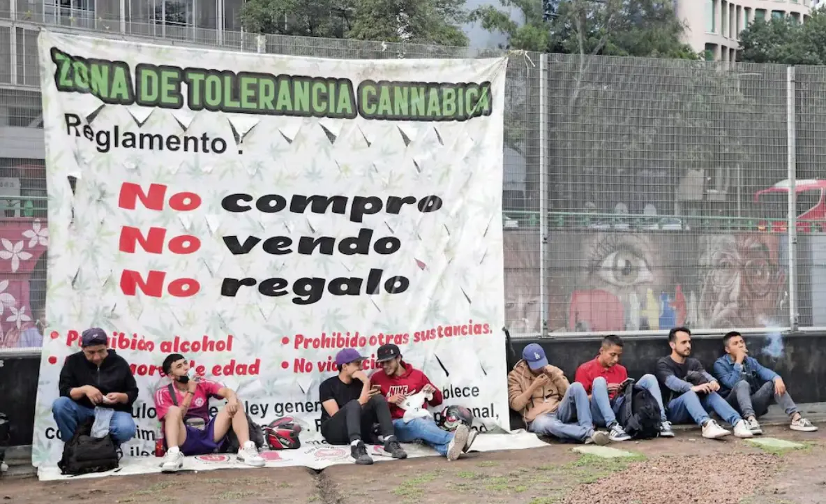 Colectivos cannábicos piden mayor apoyo y claridad tras tres meses de reubicación de puntos 420 en CDMX