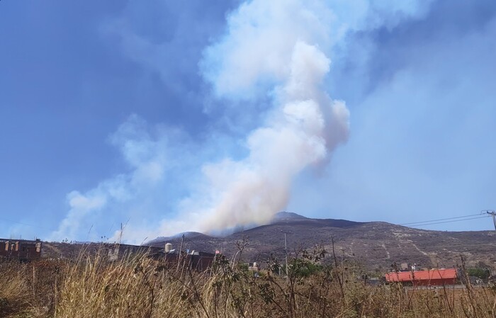 Comité Estatal de Manejo de Fuego buscará contener incendios esta temporada