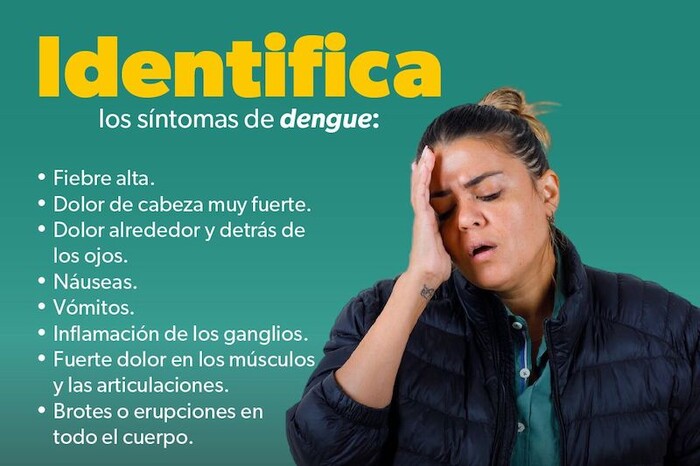 ¿Cómo se siente el dengue? Identifica los síntomas para pedir ayuda inmediata