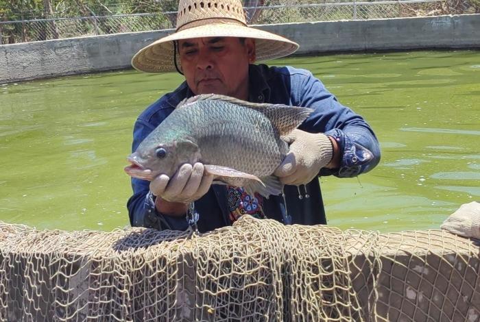 Compesca invita al Primer Foro de Acuicultura en Gabriel Zamora