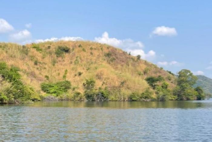 Compesca libera 100 mil alevines de tilapia en Lázaro Cárdenas