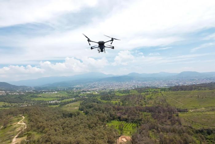 Con 360 mil semillas dispersadas vía dron, fortalecieron bosques de Michoacán en 2025