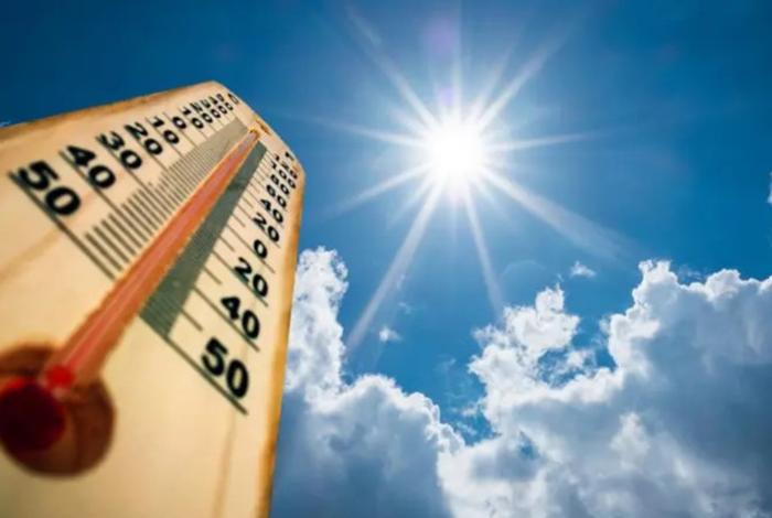 Con 40 grados, récord de calor en Viena deja problemas de tráfico e incendios