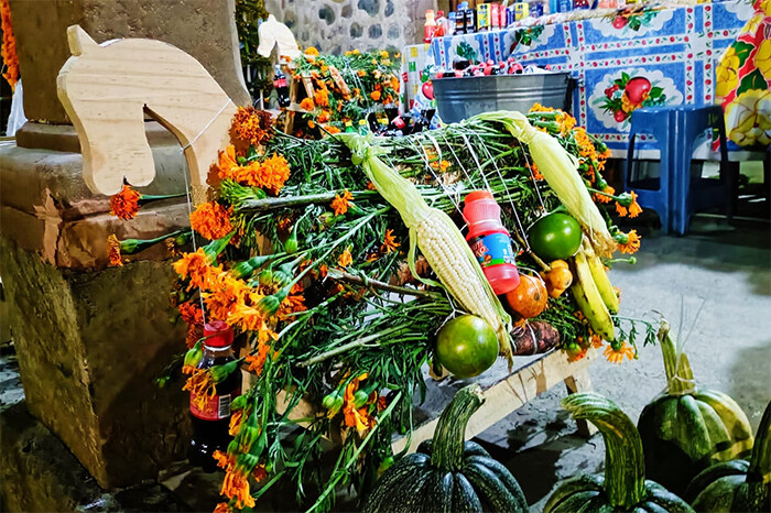 Con caballitos y ofrendas, en Cuanajo esperan a sus angelitos