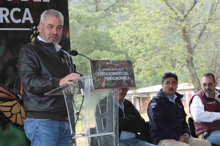 Con Fondo Monarca aumentó pago de servicios ambientales para cuidar la mariposa: Bedolla