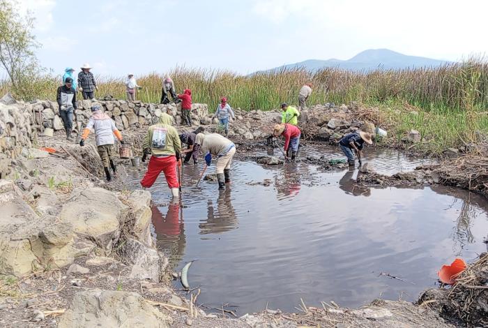Con obras de conservación, Programa de Empleo Temporal blinda al lago de Pátzcuaro