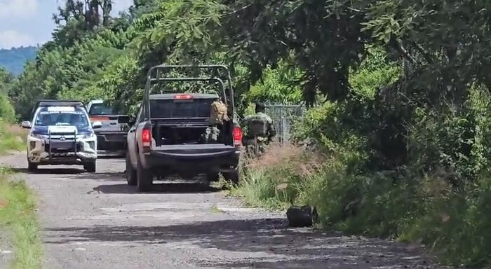 Con una piedra, le destrozan la cabeza a una mujer