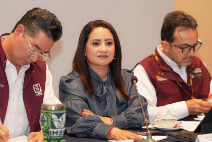 Confía Gladyz Butanda en que Congreso aprobará desincorporaciones de Cecis y UMF del IMSS