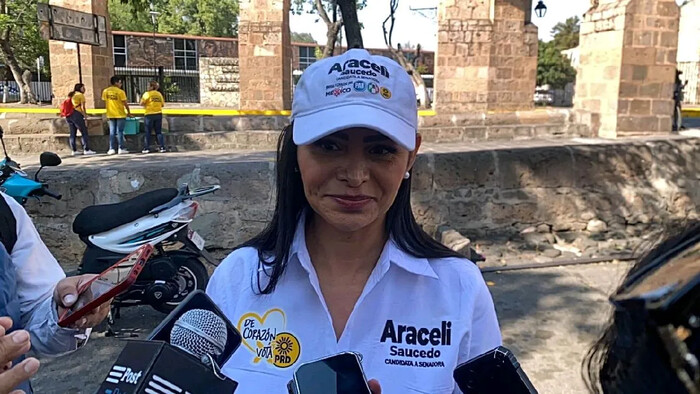 Conflicto interno del PRI Michoacán no afectó a la coalición: Araceli Saucedo