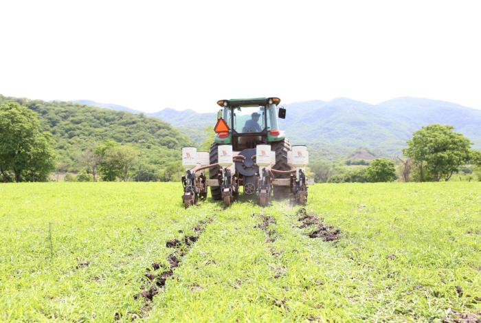 Conflictos con EU abren oportunidades de comercialización para el campo: Sader