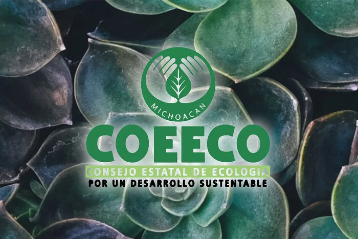 Consejo Estatal de Ecología opera sin presupuesto