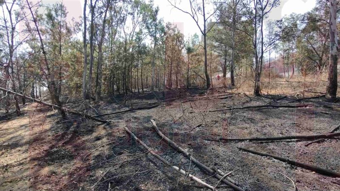 Consumidas por el fuego, cinco hectáreas entre la zona residencial y comercial de Altozano