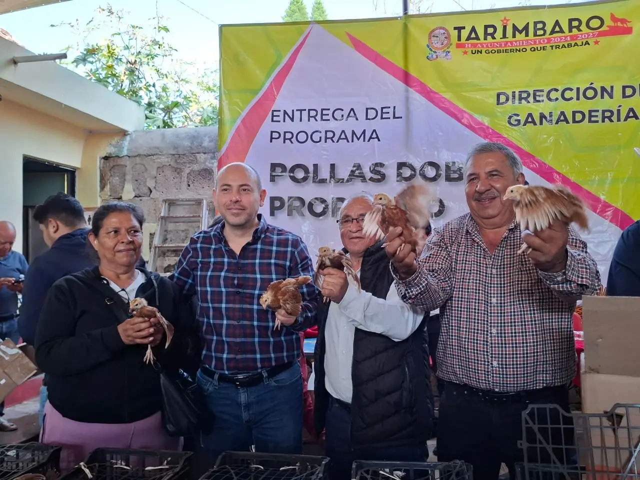CONTINÚAN LOS PROGRAMAS SOCIALES EN TARÍMBARO: ENTREGAN POLLITAS DOBLE PROPÓSITO A FAMILIAS DEL MUNICIPIO