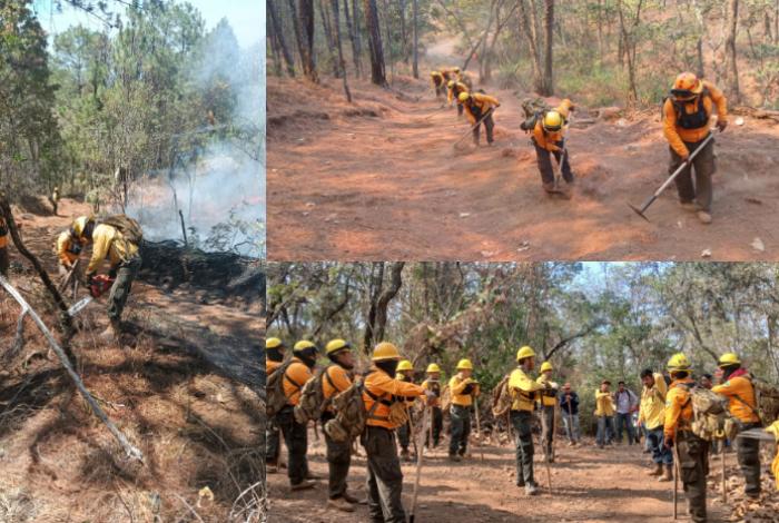 Controlado al 100 % incendio en Nuevo Urecho; más de mil hectáreas afectadas