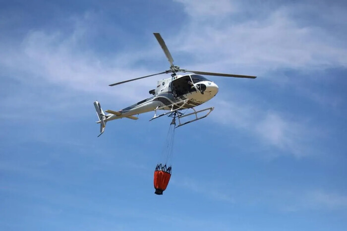 Controlado al 95 % el incendio en el Santuario de la Mariposa Monarca: Cofom