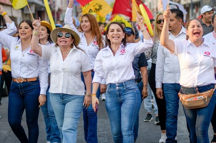 Coordinadora del PVEM en el Congreso de Michoacán respalda a Blanca Álvarez